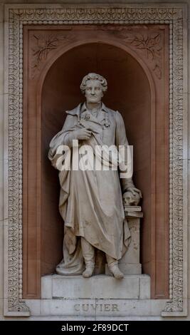 Statue von Georges Cuvier von Patrick MacDowell in Nische über dem hinteren Eingang der Royal Academy of Arts (RA) in Burlington Gardens, London Stockfoto