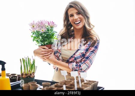 Reife Frau, die Samen im Gewächshaus pflanzt Stockfoto