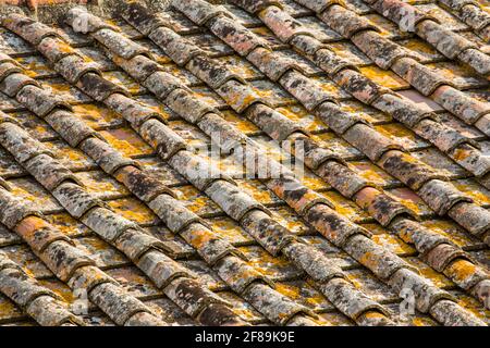 Cortona, Italien. Blick auf ein Ziegeldach von oben, das mit Flechten bedeckt ist. Dachziegel sind hauptsächlich entworfen, um Regen abzuhalten, und sind traditionell verrückt Stockfoto