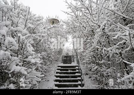 Ein Blick auf die Treppe von unten im Park. Stockfoto