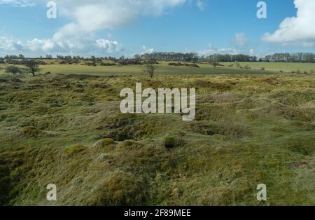 Calaminarian Grassland - kalkhaltiges Grasland auf bleireichem Boden, bei Ubley Warren, Somerset, Stockfoto