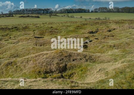 Calaminarian Grassland - kalkhaltiges Grasland auf bleireichem Boden, bei Ubley Warren, Somerset, Stockfoto