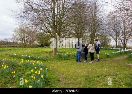 Der Standort in Daresbury, der Heimat der Kindheit Charles Lutwidge Dodgson besser bekannt als der Autor von Alice Im Wunderland Lewis Carroll Stockfoto