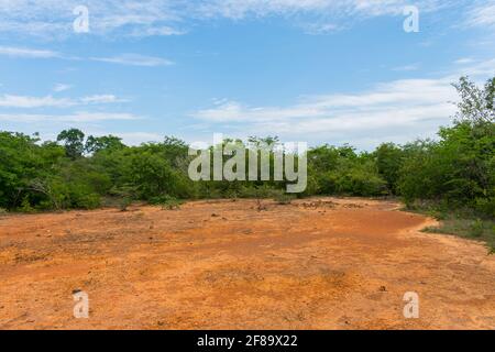 Sertao Landschaft in Oeiras, Piaui (Nordostbrasilien) Stockfoto