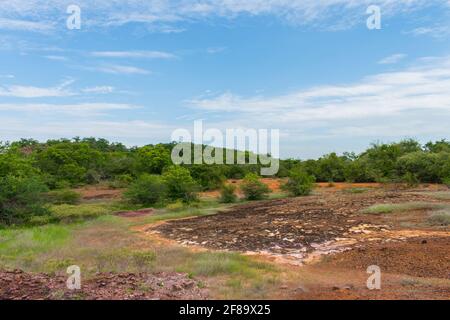 Sertao Landschaft in Oeiras, Piaui (Nordostbrasilien) Stockfoto