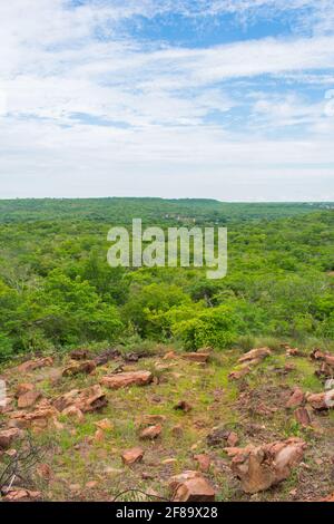 Sertao Landschaft in Oeiras, Piaui (Nordostbrasilien) Stockfoto