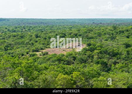 Sertao Landschaft in Oeiras, Piaui (Nordostbrasilien) Stockfoto