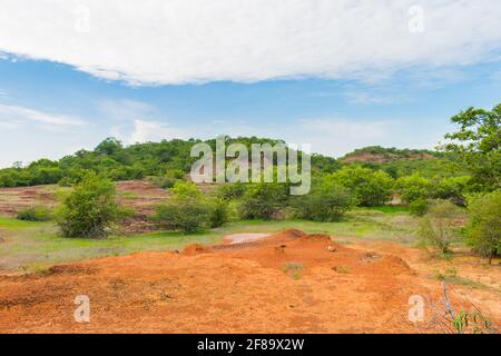 Sertao Landschaft in Oeiras, Piaui (Nordostbrasilien) Stockfoto