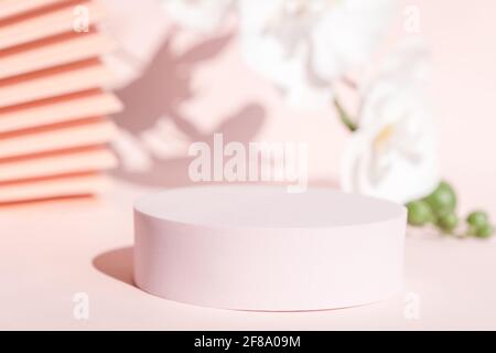 Modernes Verpackungsdesign, Hintergrund in Pastellfarben, Blumen und Fächer. Stockfoto