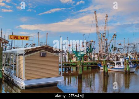 Shrimp Boats und Live Bait Shop in Pass Christian Harbour, Mississippi Gulf Coast, USA. Stockfoto