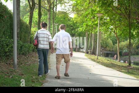 Ein asiatisches Seniorenpaar hält sich die Hände und geht im Park. Rückansicht. Stockfoto