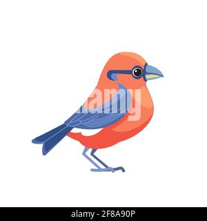 Rot Kreuzschnabel Loxia curvirostra Vogel Cartoon Charakter flache Stil Illustration Isoliert auf weißem Hintergrund Stock Vektor
