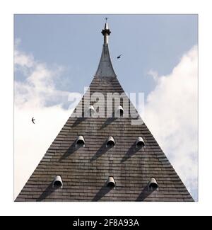 Mauersegler nisten im Turm des Oxford Museum of Natural History, überwacht für die letzten 46 Jahre von Swift Guardian Roy Overallphotograph von David Sandison The Independent Stockfoto