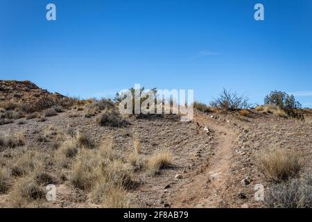 Felsvorsprung über einem Grat, New Mexico Wüste mit Gräsern und Pinsel, blauer Himmel Kopieplatz, horizontaler Aspekt Stockfoto