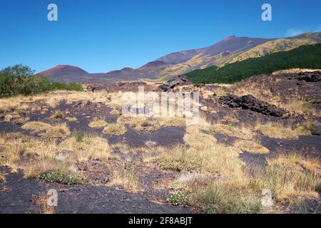 Der Ätna in Sizilien bei Catania, der höchste aktive Vulkan Europas in Italien. Trockenes gelbes Gras. Stockfoto