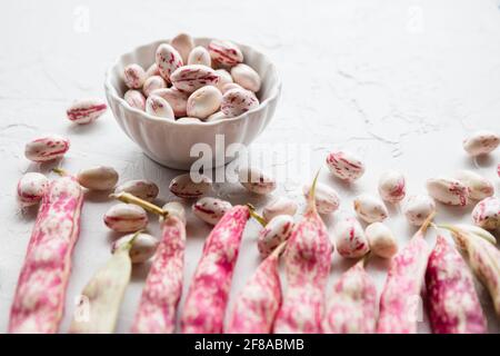 Geschälte Cranberry Borlotti Bohnen in White Bowl Stockfoto