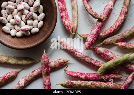 Bunte Cranberry Borlotti Muschelbohnen umgeben geschälte Bohnen in Holz Schüssel Stockfoto