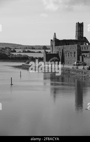 Schwarz und Weiß der Ruinen der Timoleague Abbey spiegeln sich im Wasser in West Cork, Irland Stockfoto