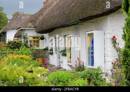 White Cottages mit Strohdächern und Blumengärten in Adare, Irland Stockfoto