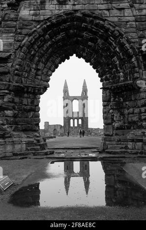 Die Ruinen der St. Andrew's Cathedral, Schottland, spiegeln sich im Wasser wider Stockfoto