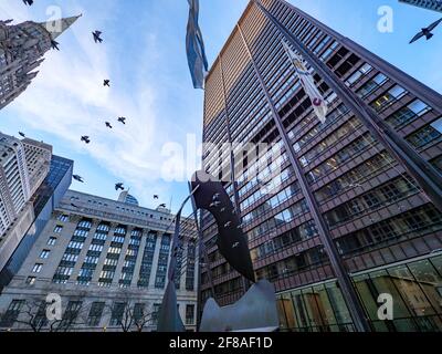 Daley Plaza Chicago. Tauben im Flug und Picasso-Skulptur Stockfoto