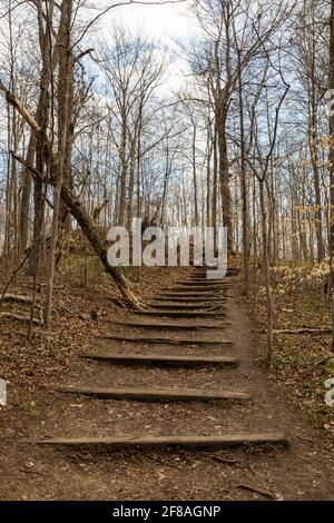 Auf diesem Weg im Metea County Park in Allen County, Indiana, USA, können Sie die Treppe vom Fuße des Hügels aus hochschauen. Stockfoto