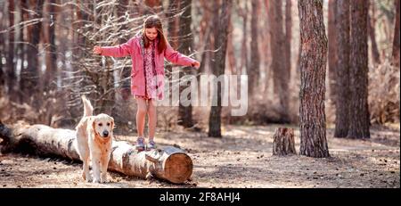 Kleine Mädchen preteen geht auf einem trockenen log mit niedlich golden Retriever Hund im Frühlingsholz Stockfoto