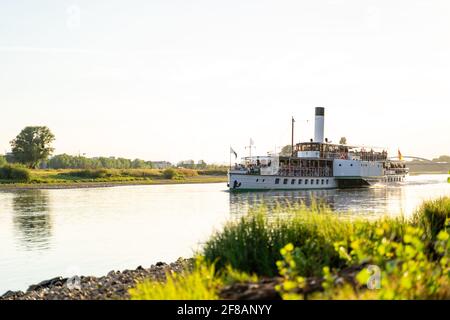 Großer touristischer Retro-Dampfer mit einer Pfeife segelt entlang der Ruhige Elbe Stockfoto