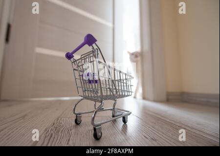 An der offenen Tür steht ein leerer Mini-Einkaufswagen. Weiße, flauschige Katze in der Tür. Konzept des Online-Shoppings mit Lieferung nach Hause. Stockfoto