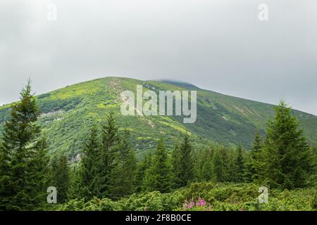 Sommertag in den Bergen. Wunderschöne Berglandschaft. Ukrainische Karpaten, Berg Hoverla Stockfoto