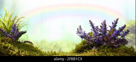 Natur Hintergrund. Dschungelblumen auf dem Hintergrund des Regenbogens. Stockfoto
