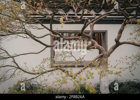 Landschaften des Guo Zhuang Gartens im Westsee von Hangzhou, einem klassischen chinesischen Garten in Hangzhou, China Stockfoto