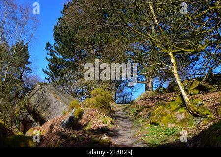 Slurring Rock, Hardcastle Crags, Pennines, West Yorkshire Stockfoto