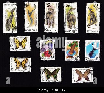 UdSSR - um 1990: Eine Serie von Briefmarken. Collage mit Fauna. Dinosaurier und Schmetterlinge. Zeichnung auf einem alten Stempel. Wildes Tier auf Briefmarken Stockfoto