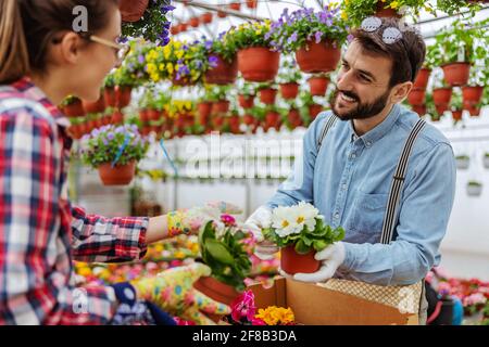 Lächelndes Paar, das im Gewächshaus steht und Blumen aus den Boxen nimmt. Stockfoto