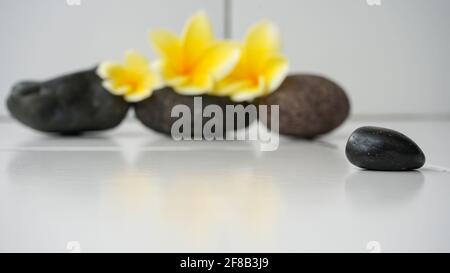 Nahaufnahme eines Kieselsteins Stockfoto