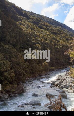 Der Fluss verläuft entlang der Seitenhügel in Neuseeland Stockfoto