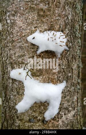 Kreativer Ansatz für Kinder. Die Kinder steckten eine Schneemugel und ein nördliches Rentier auf einen Baum (wie ein Hochrelief) Stockfoto