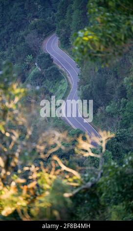 Kurvenstraße im Wald Stockfoto