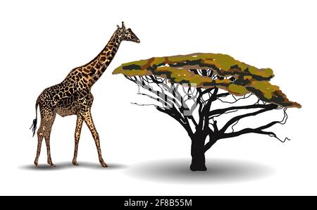 ETHNISCHER TREND. MALEREI IM AFRIKANISCHEN STIL. Giraffe in der Savanne. Afrikanisches Tier auf weißem Hintergrund isoliert. Vektorgrafik. Stock Vektor
