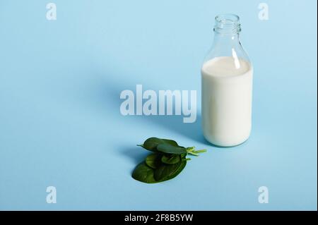 Hochwinkelansicht einer kleinen Glasflasche mit Bio-Milch und Spinatblättern auf blauem Hintergrund. Konzepte mit weichem Schatten aufgenommen, Kopierraum Stockfoto