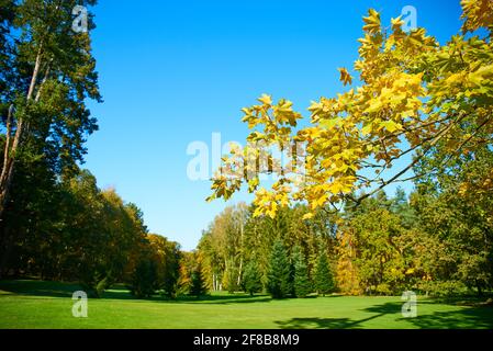 Herbst im Stirin Castle Park Stockfoto