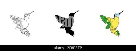 Set aus drei Kolibris in verschiedenen Stilen. Stock Vektor