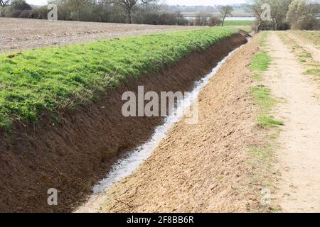 Vor kurzem gerodeten Drainage Graben Abfluss Wasser von Feldern nach River Deben, Sutton, Suffolk, England, Großbritannien Stockfoto