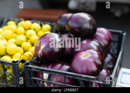 Frisches Bio gesundes Auberginen Gemüse in Kunststoffboxen Armers Markt. Lokale Produkte. Stockfoto