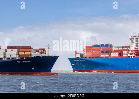 Containerschiffe, die einander passieren und den Hafen betreten und verlassen Von Rotterdam Stockfoto