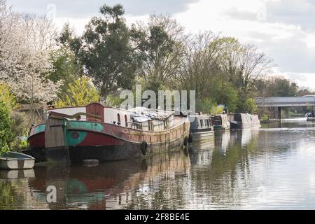Hausboote auf dem Grand Union Canal in der Nähe von Hanwell im Westen Londons, Großbritannien Stockfoto