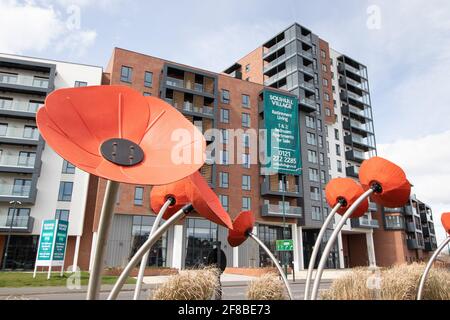 Riesige Mohnskulpturen auf der Verkehrsinsel vor dem Solihull Village Extraare Apartments Stockfoto