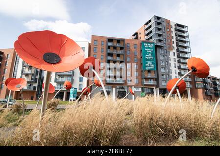 Riesige Mohnskulpturen auf der Verkehrsinsel vor dem Solihull Village Extraare Apartments Stockfoto