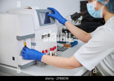 Frau in Latexhandschuhen, die mit einem Blutkörperchen arbeiten Stockfoto